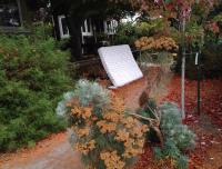 fall colors 
by robert kershaw