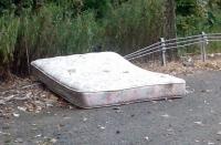 Roadside Assistance Needed 
by EZ