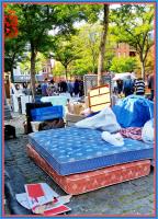 the hard choice between blue and red 
by wim rutten