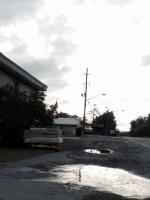 Monday Morning Glory 
by EZ