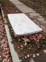 Autumn Leaves 
by EZ