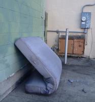 ashamed 
by robert kershaw