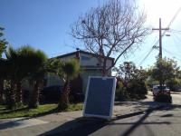 bare bones 
by robert kershaw