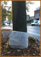 running for autumn 
by wim rutten