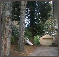 Hier spricht man Deutsch 
by wim rutten