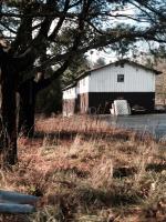 Bungalow Blues 
by EZ