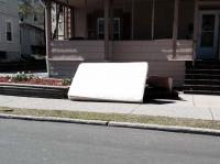 White Daffodils 
by EZ