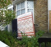 Shakespearean Matt 
by Smart Set