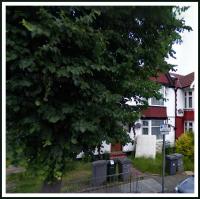 gone four years later 
by wim rutten