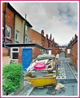 back is back 
by wim rutten