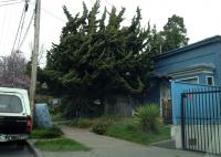 blue and green 
by robert kershaw