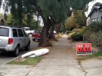 Yes on D 
by robert kershaw