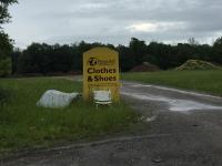 Summer Solstice  
by EZ