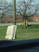 Keeping the Pole Company 
by EZ