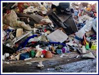 remind me of you 
by wim rutten