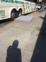 Frances’ Reflection 
by EZ