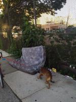 Sniffing Around 
by EZ