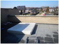 pattern 
by wim rutten