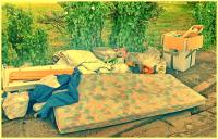 hard to get rid of 
by wim rutten