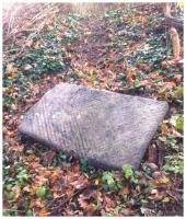 woody blues 
by wim rutten