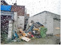 rainy yellow 
by wim rutten