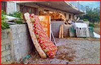 woody alian 
by wim rutten