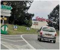 sentinel 
by wim rutten