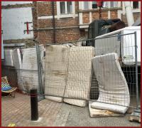 hard knokke to survive 
by wim rutten