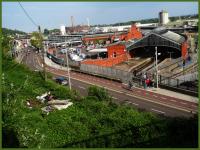 long live the irish 
by wim rutten