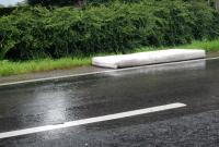 fresh 
by wim rutten