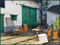 pfaff cat with sans 
by wim rutten