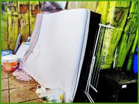 over exposed 
by wim rutten