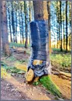 stunt 
by wim rutten