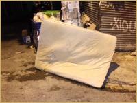 thorn 
by wim rutten