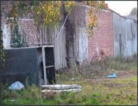 the wall 
by wim rutten