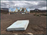 volcano bird resting 
by wim rutten