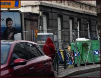 little red ridinghood 
by wim rutten