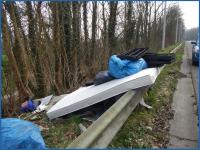 forest blue 
by wim rutten