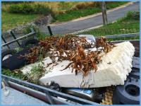 trowel 
by wim rutten