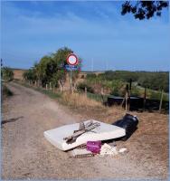 masts and matt 
by wim rutten