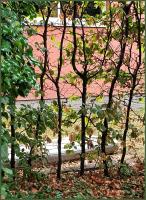 hesitating autumn fall 
by wim rutten