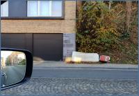 bressouxian wood 
by wim rutten