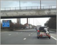 pandapanda 
by wim rutten