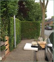 shiny 
by wim rutten