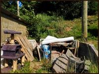 pussydog 
by wim rutten