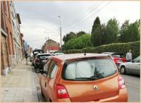 suffocating 
by wim rutten