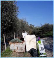 olive oyl and spinach green dog 
by wim rutten