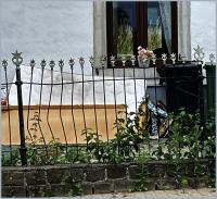 moonstar 
by wim rutten