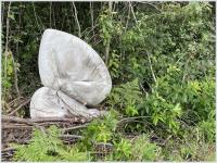 popeye 
by wim rutten