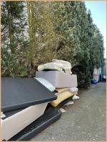 yellow is the green 
by wim rutten